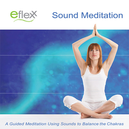 Title details for The Eflexx Sound Meditation by Mike Angulo - Available
